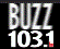 Buzz 103.1 FM